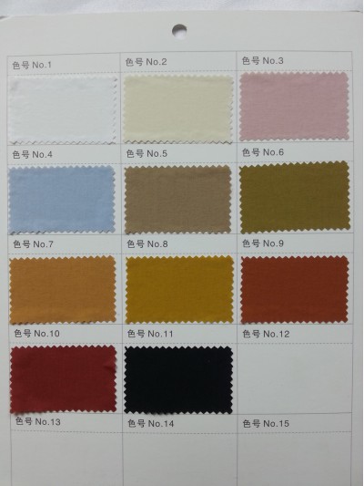 GZ- LEEN  58533 正面照